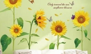 小学一年级教室布置