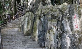 肇庆七星岩旅游攻略